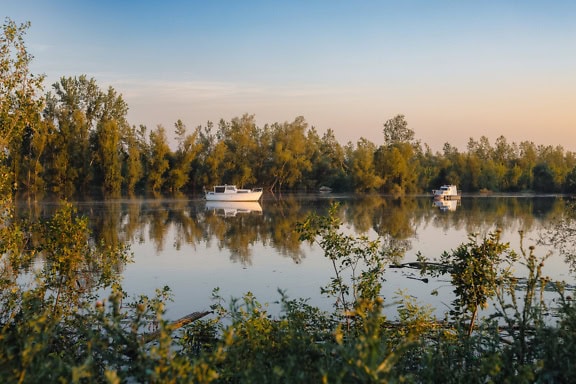 Malé rybářské lodě na klidné vodě jezera se stromy kolem