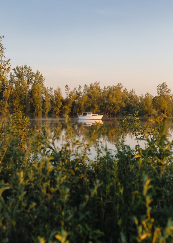 Petit bateau de pêche dans un lac entouré d’arbres