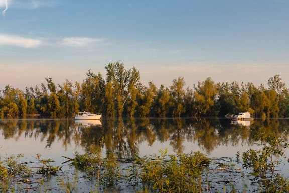 Two fishing motor boats on Danube river