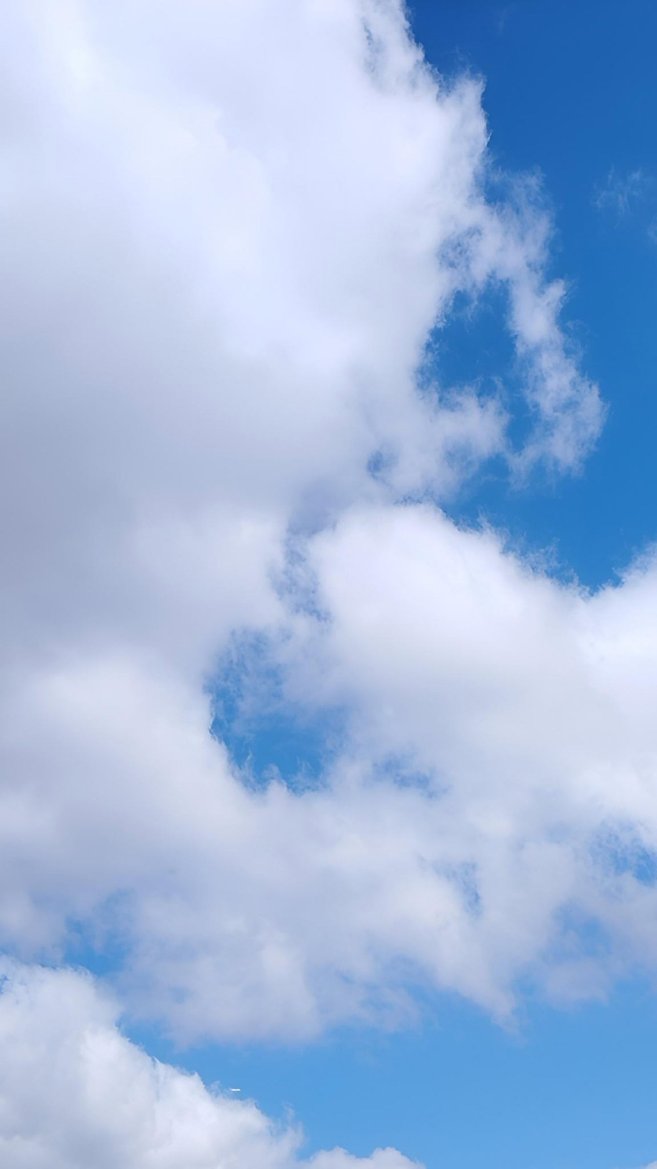 Vertikalt fotografi av en blå himmel med vita moln och bris