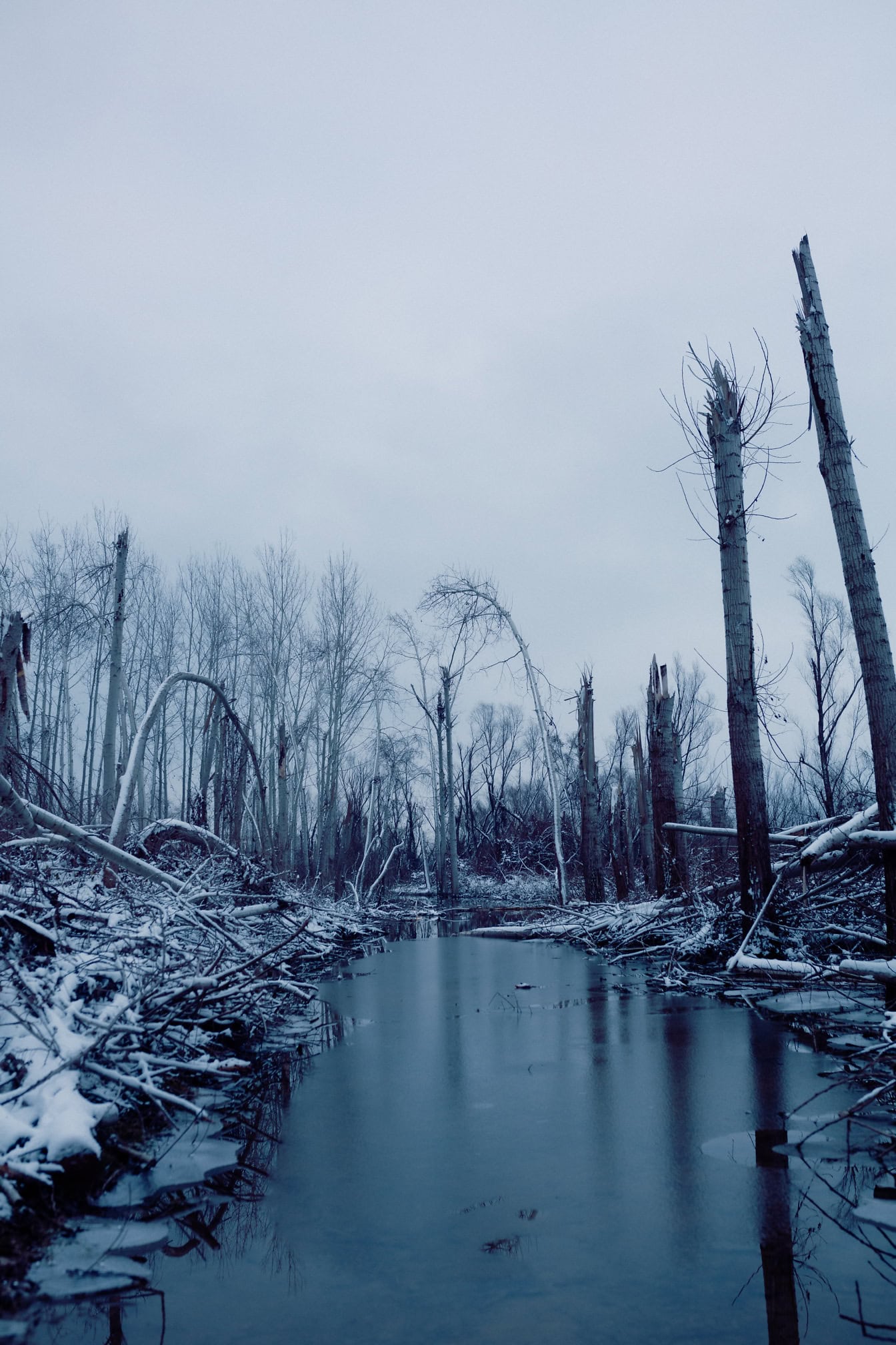 Troncs nus cassés sur une rive de rivière enneigée avec des arbres tombés dans une rivière gelée en hiver, un paysage de conditions hivernales rigoureuses