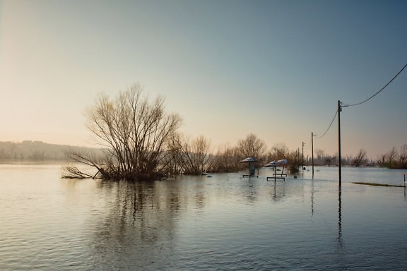 Overstroomd gebied van het Tikvara-meer en de rivier van Donau met bomen en een telefoonpaal in water