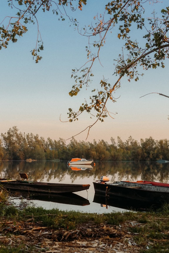 Bărci de pescari pe un lac cu copaci în fundal