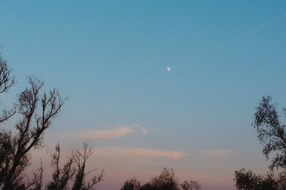 Kleine maan op de blauwe hemel in de schemering