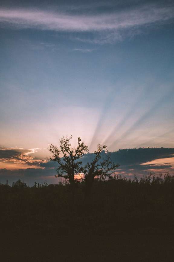 Auringonsäteet loistavat pilvien läpi siluetin takana puu hämärässä, täydellinen taustavalomaisemakuva