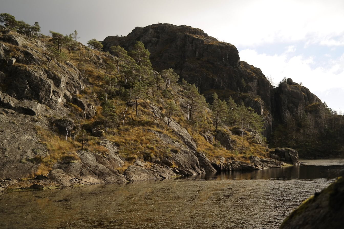 Paisagem do lago estagnado com plantas aquáticas e costa rochosa de um lago da montanha