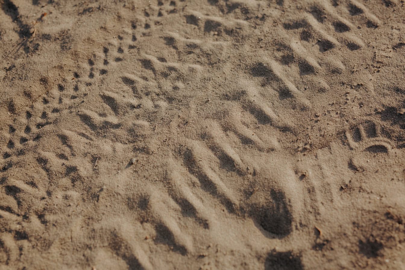 Een close-up van bruin zand met bandensporen en voetafdrukken