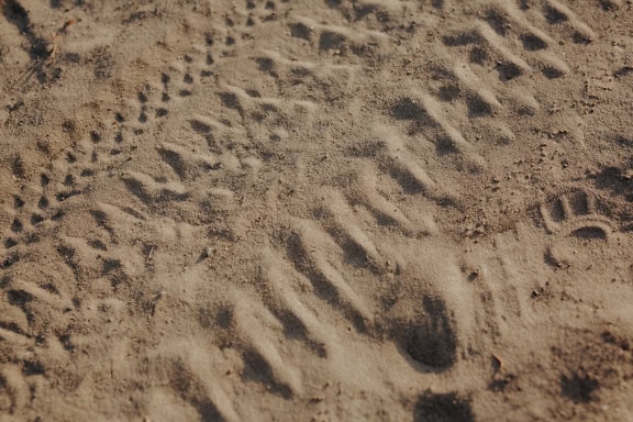 Eine Nahaufnahme von braunem Sand mit Reifenspuren und Fußabdrücken