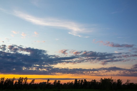 Auringonlasku taivaan värillä vaaleansinisestä oranssiin puiden silueteilla