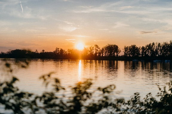 Solnedgang med lys solplet over en Tikvara-sø nær Donau-floden, Backa Palanka, Serbien