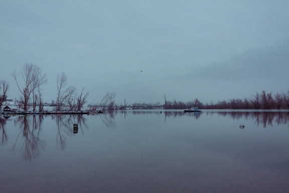 Koud meerwater met bomen en een dok in de verte op bewolkte winterdag