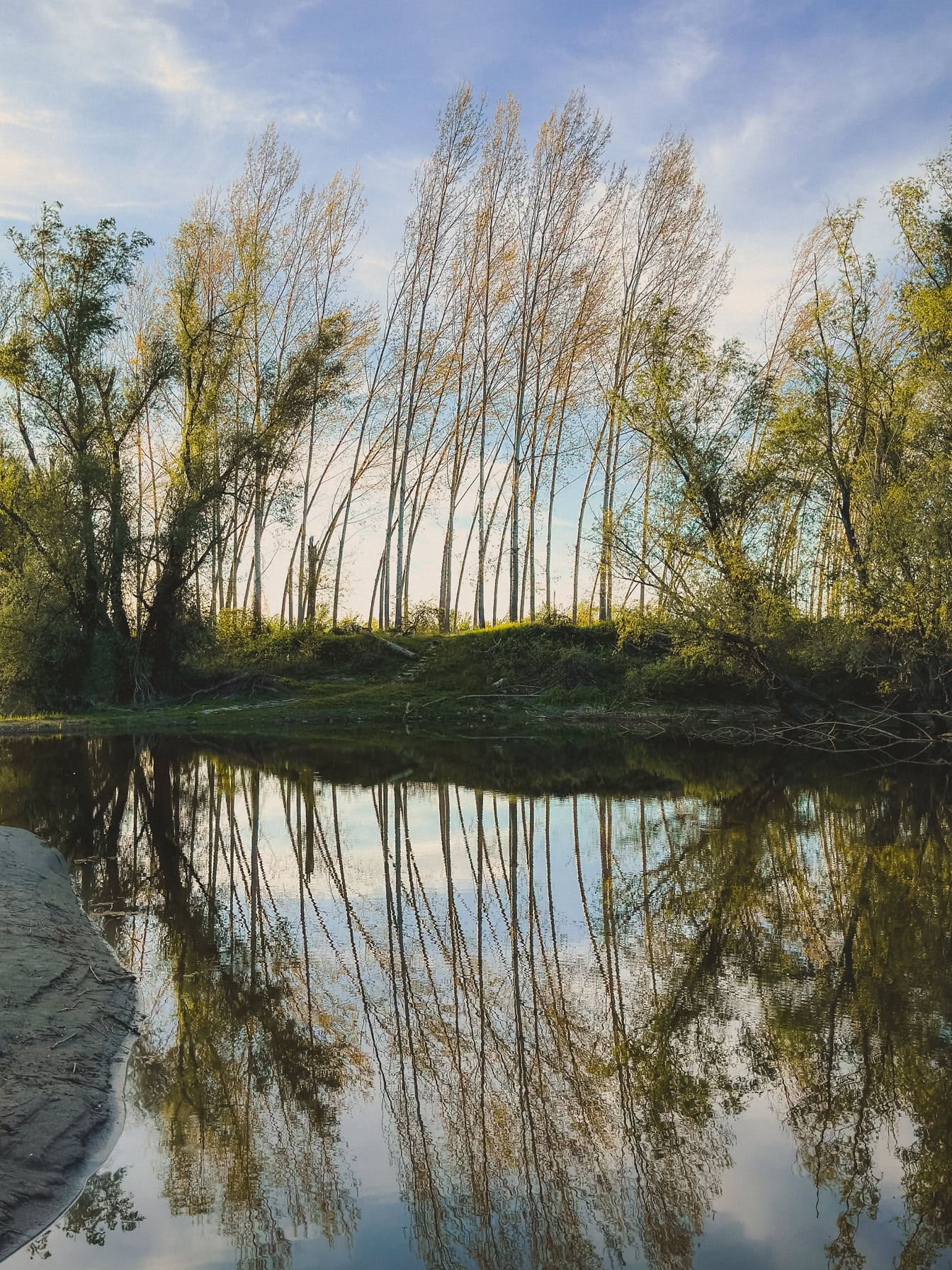 Calm lake water with reflection of  trees and a shore