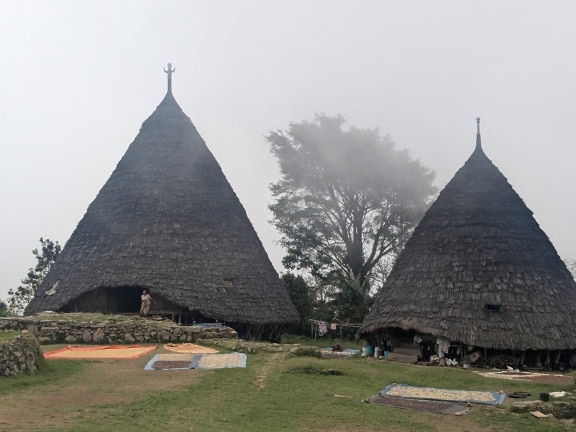 Waerebo 或 Wae Rebo 村 Manggarai 的一个民族村庄，拥有芦苇草屋顶的传统房屋，印度尼西亚努沙登加拉的生态旅游