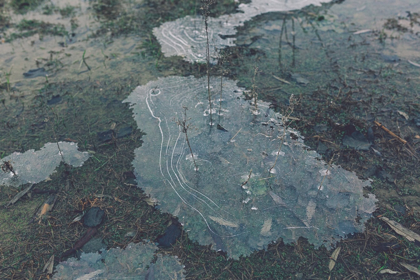 Pozzanghera congelata di acqua fredda sull’erba