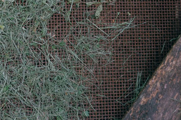 Herbe séchée sur une grille métallique rouillée