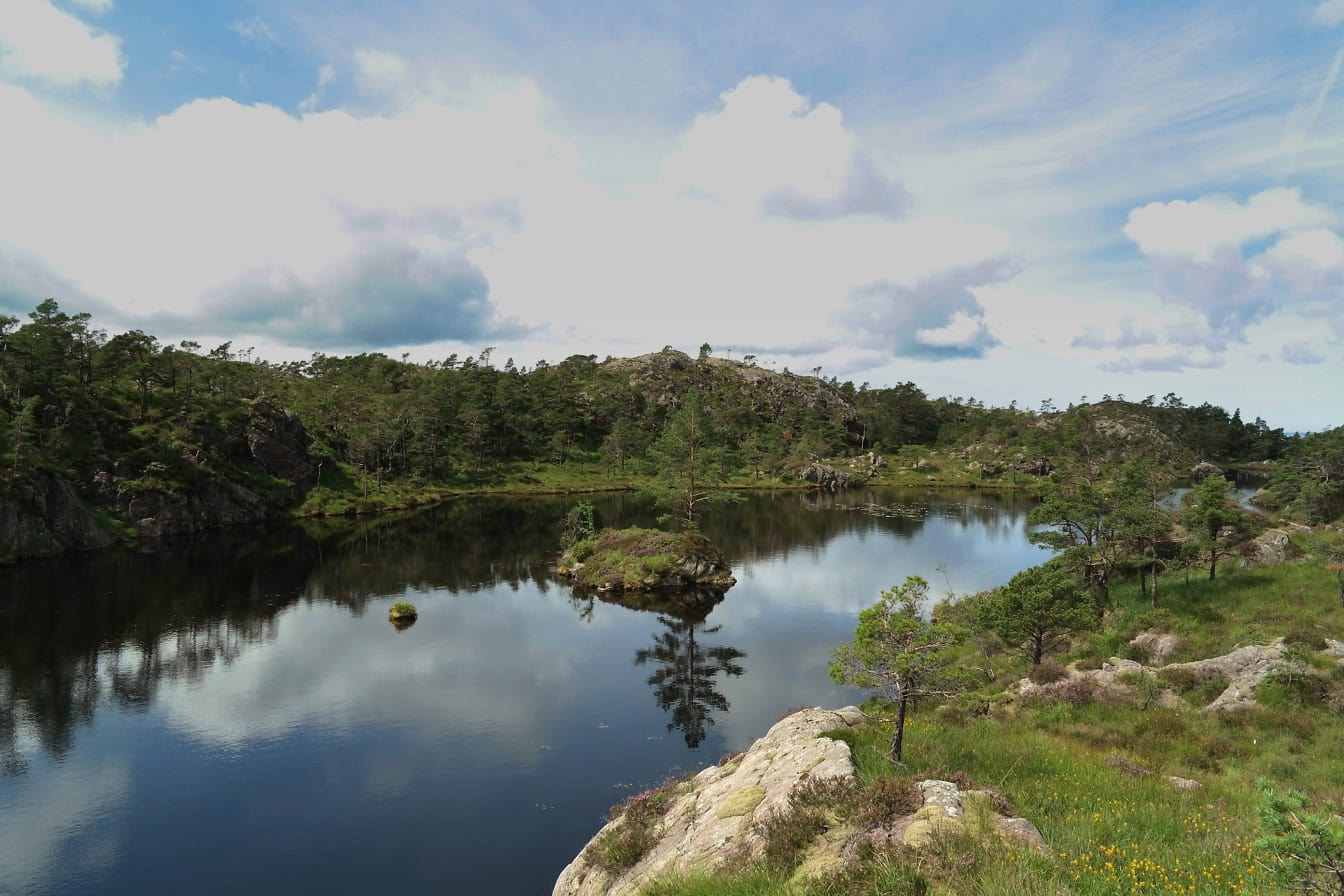 Idylliczny krajobraz Norwegii, jezioro otoczone drzewami i kamienistym brzegiem