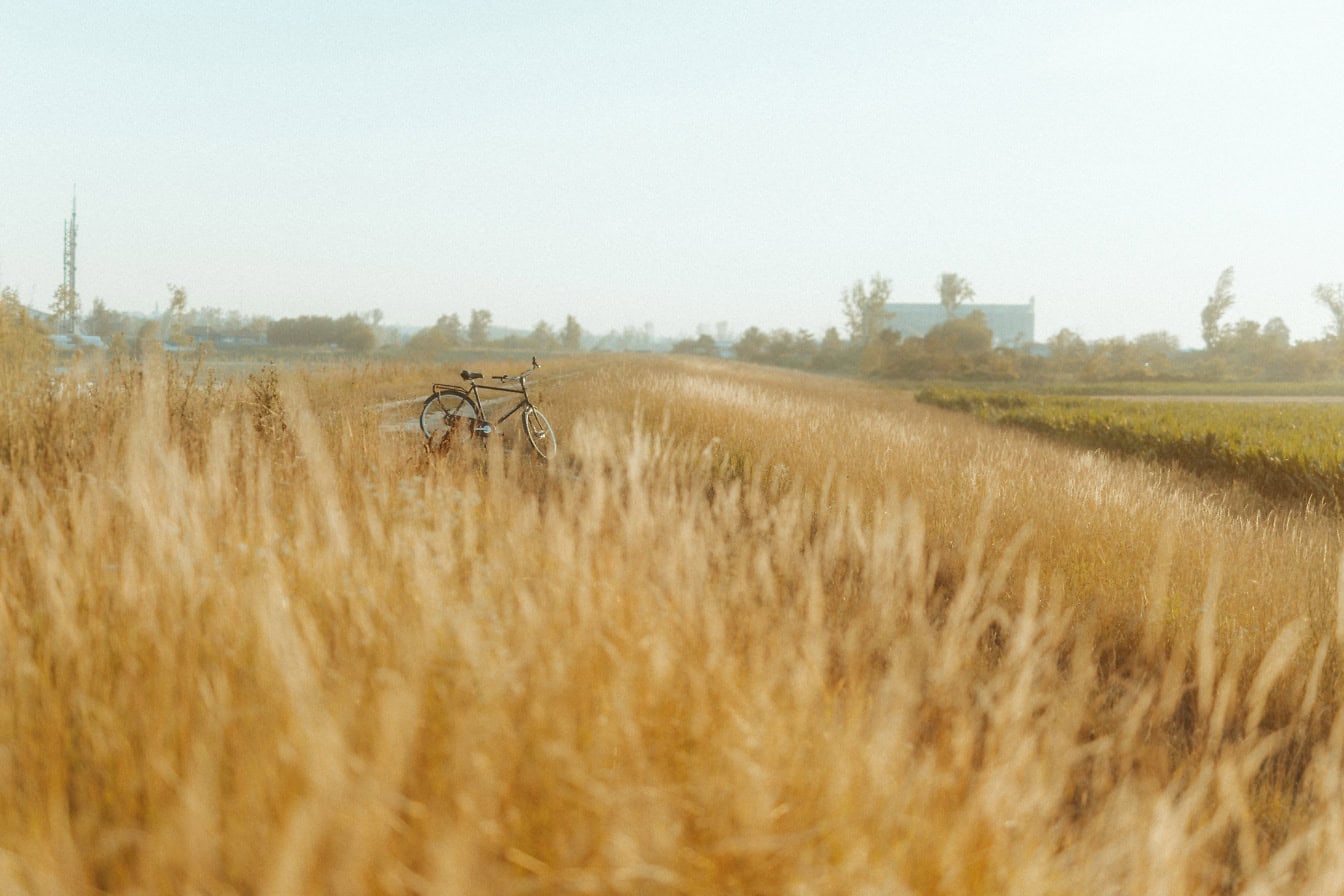 Fahrrad auf einer Wiese mit hohem Gras neben einer unbefestigten Straße auf dem Land abgestellt