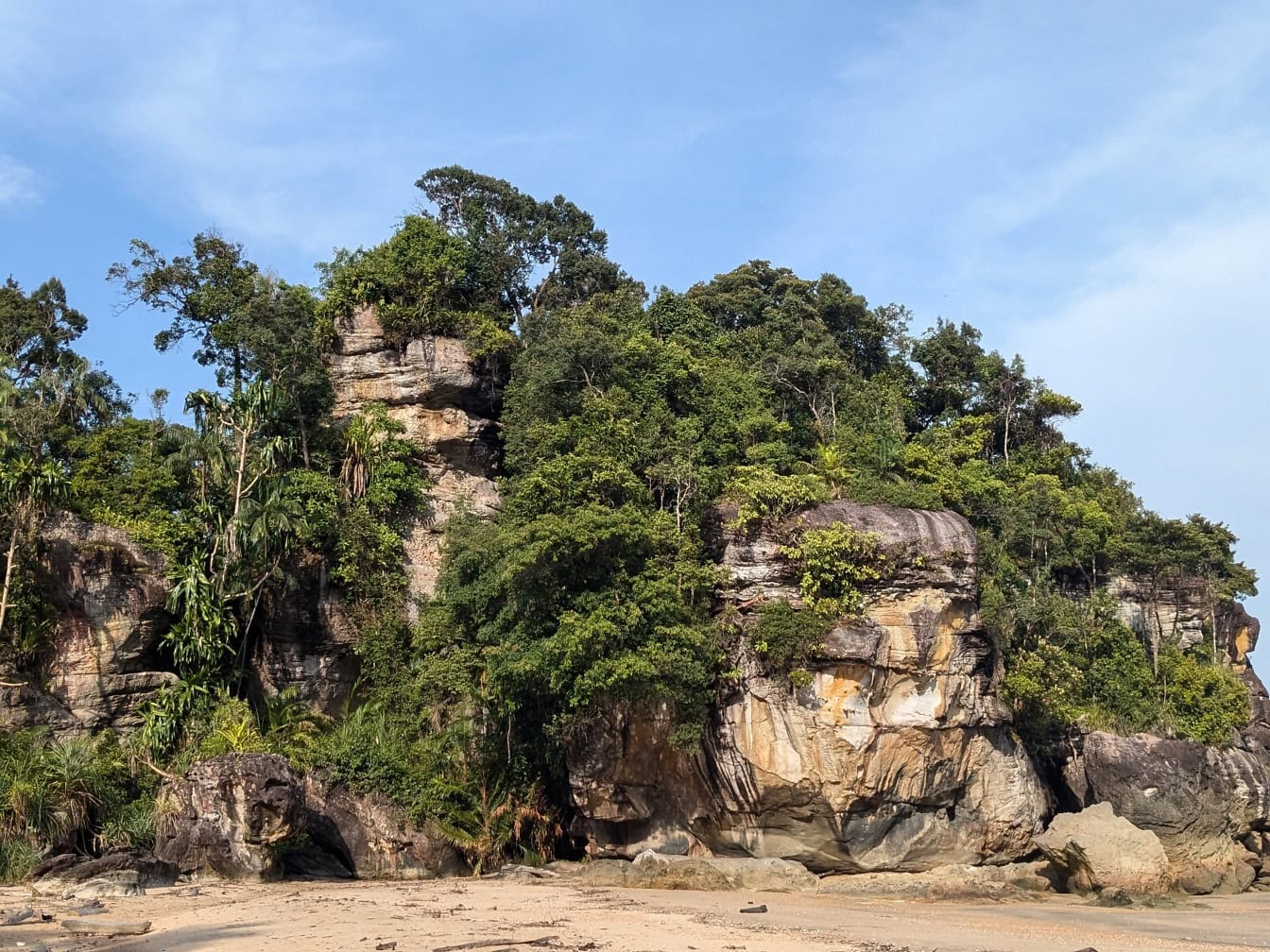 O formațiune stâncoasă mare acoperită de copaci, peisajul maiestuos al parcului național Bako din Kuching, Sarawak, Malaezia