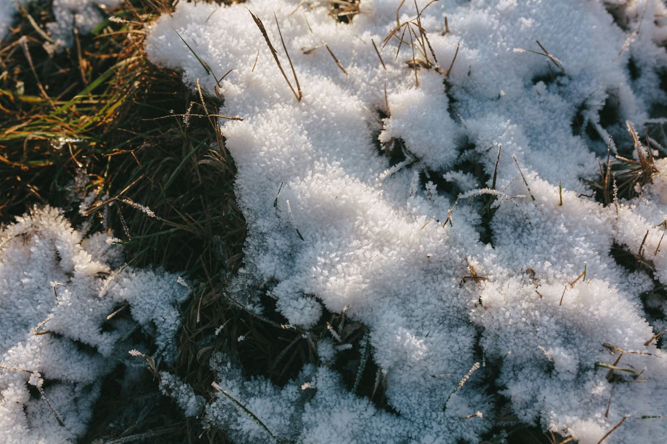 Cristalli di neve sul terreno erboso