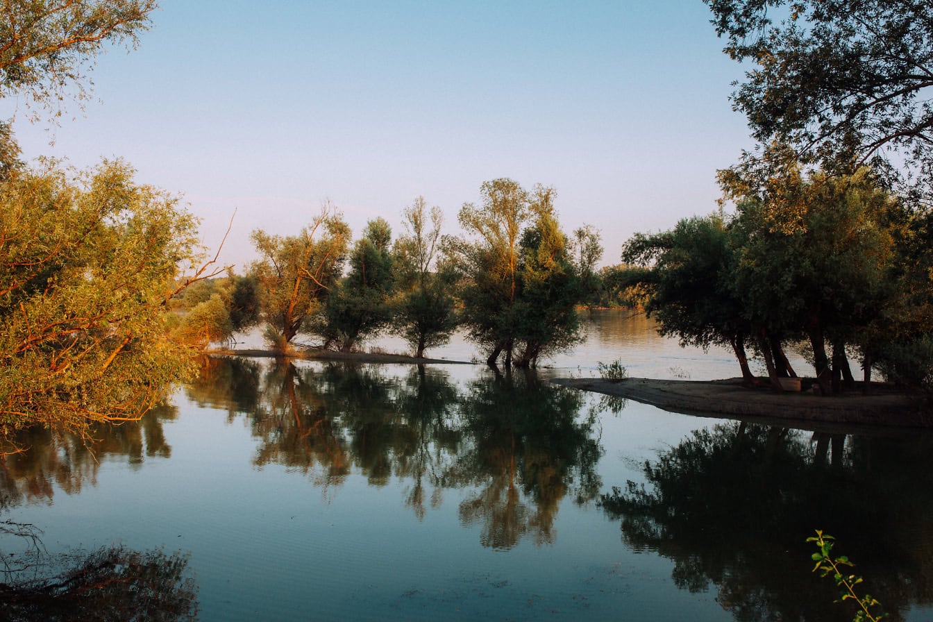 Riva del Danubio allagata con alberi e cielo blu