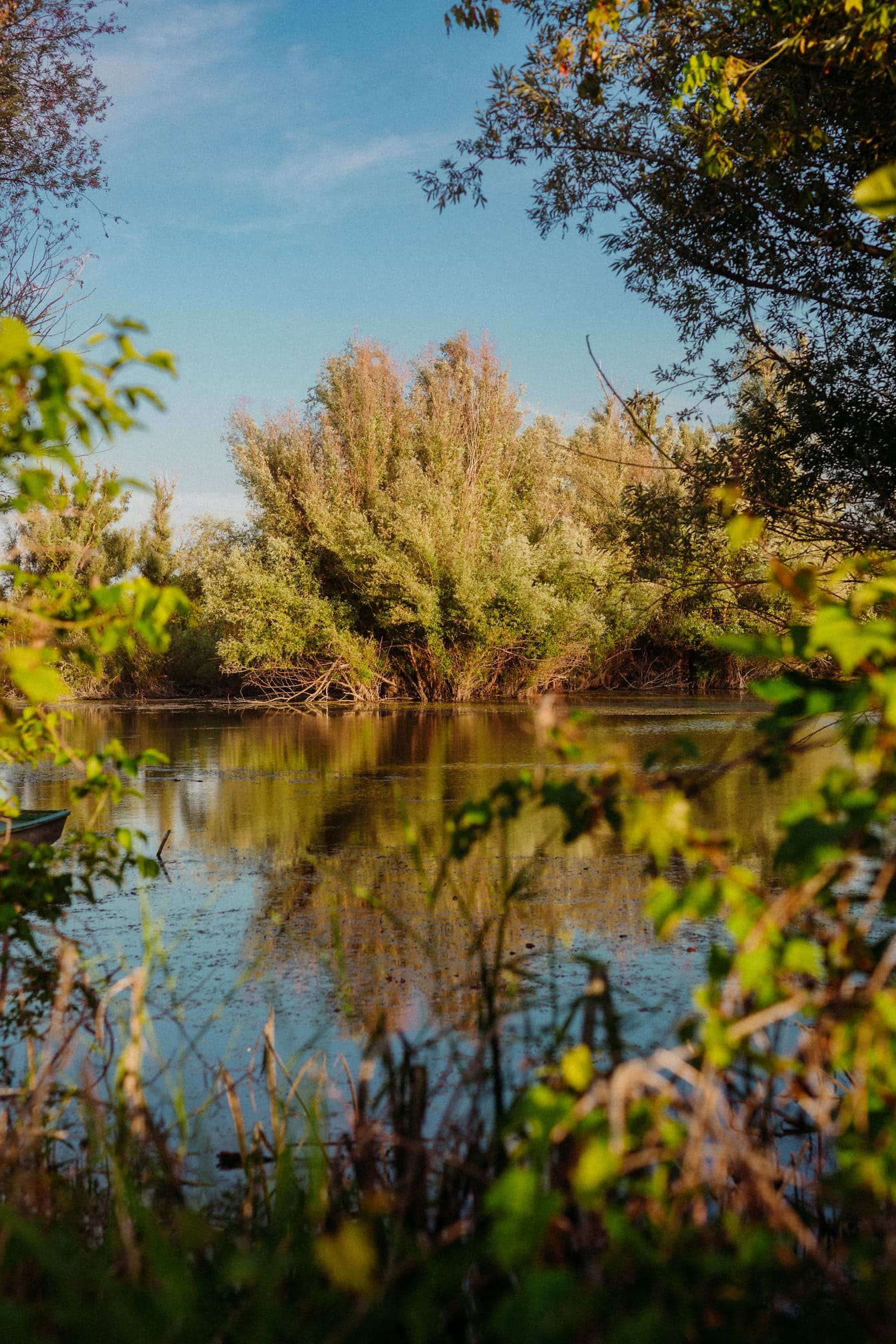 Água do lago com árvores e arbustos na costa