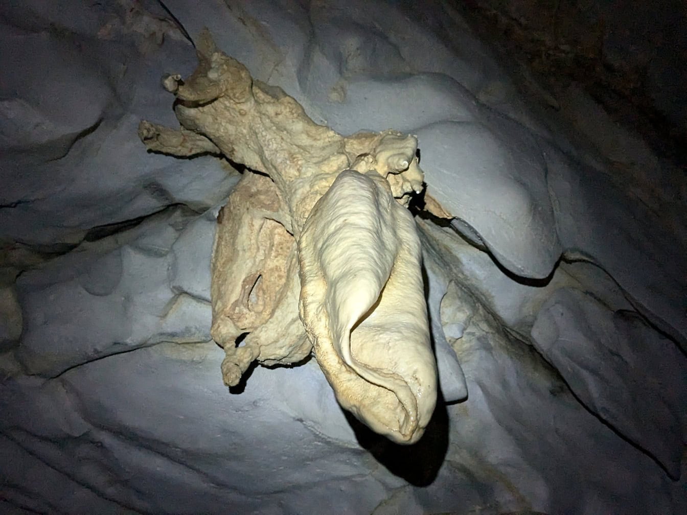 An illuminated stalactite on a ceiling of a cave