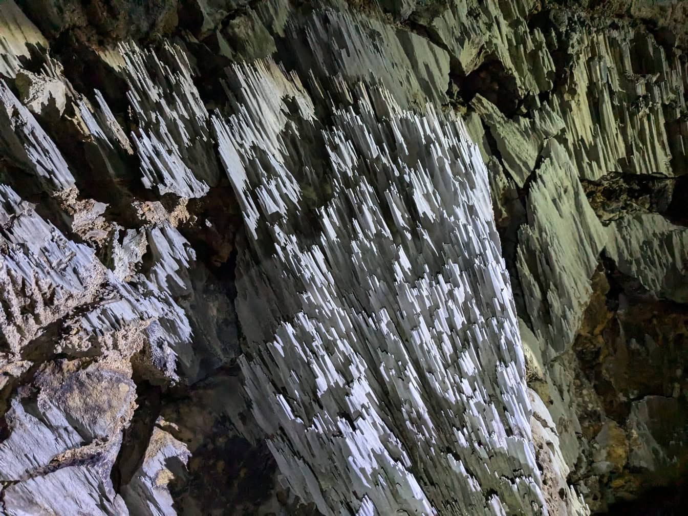 Klippformation med vita stalaktiter i den underjordiska grottan i ett särskilt naturreservat en Racer-grotta i Mulu nationalpark, Sarawak, Malaysia