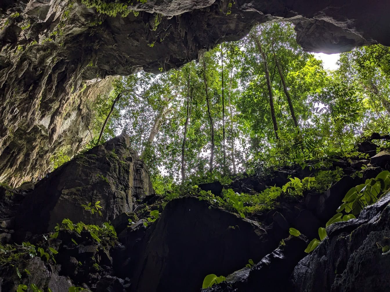 Het omhoog kijken van een geheimzinnige ondergrondse grot in tropisch bos, Borneo natuurreservaat, Maleisië