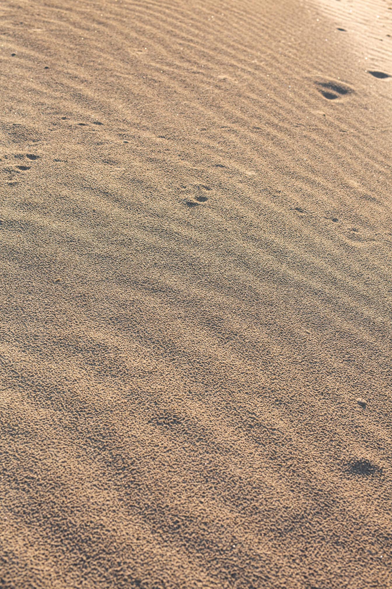 Texture of light brown sand with small ripples on beach