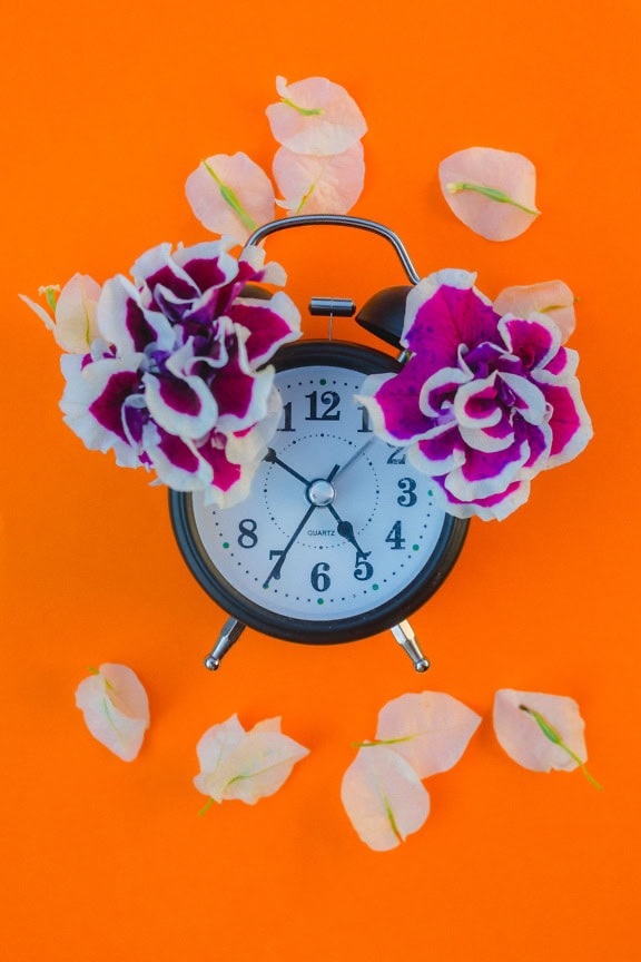 Retro old analog alarm clock with purplish flowers on it on orange background