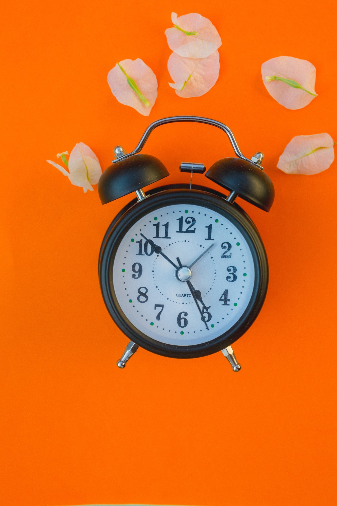 Black alarm clock with bells and flowers on an orange background