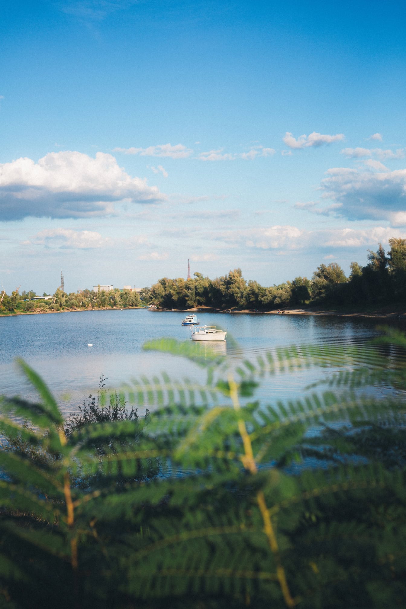 Bărci mici de recreere pe un lac într-o zi liniștită de vară