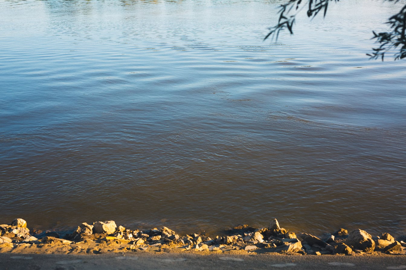 riva del fiume Danubio con pietre e impronte nella sabbia