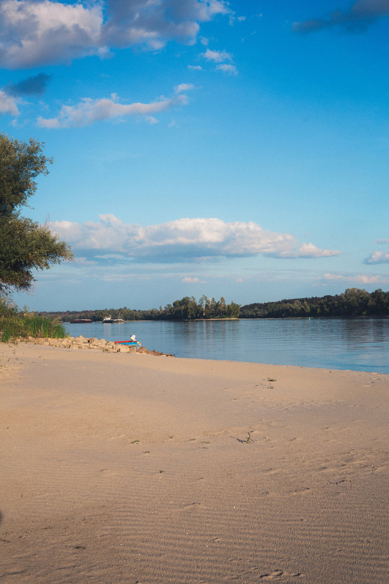 Fotografía vertical de la playa del lago Tikvara en Backa Palanka con árboles y agua