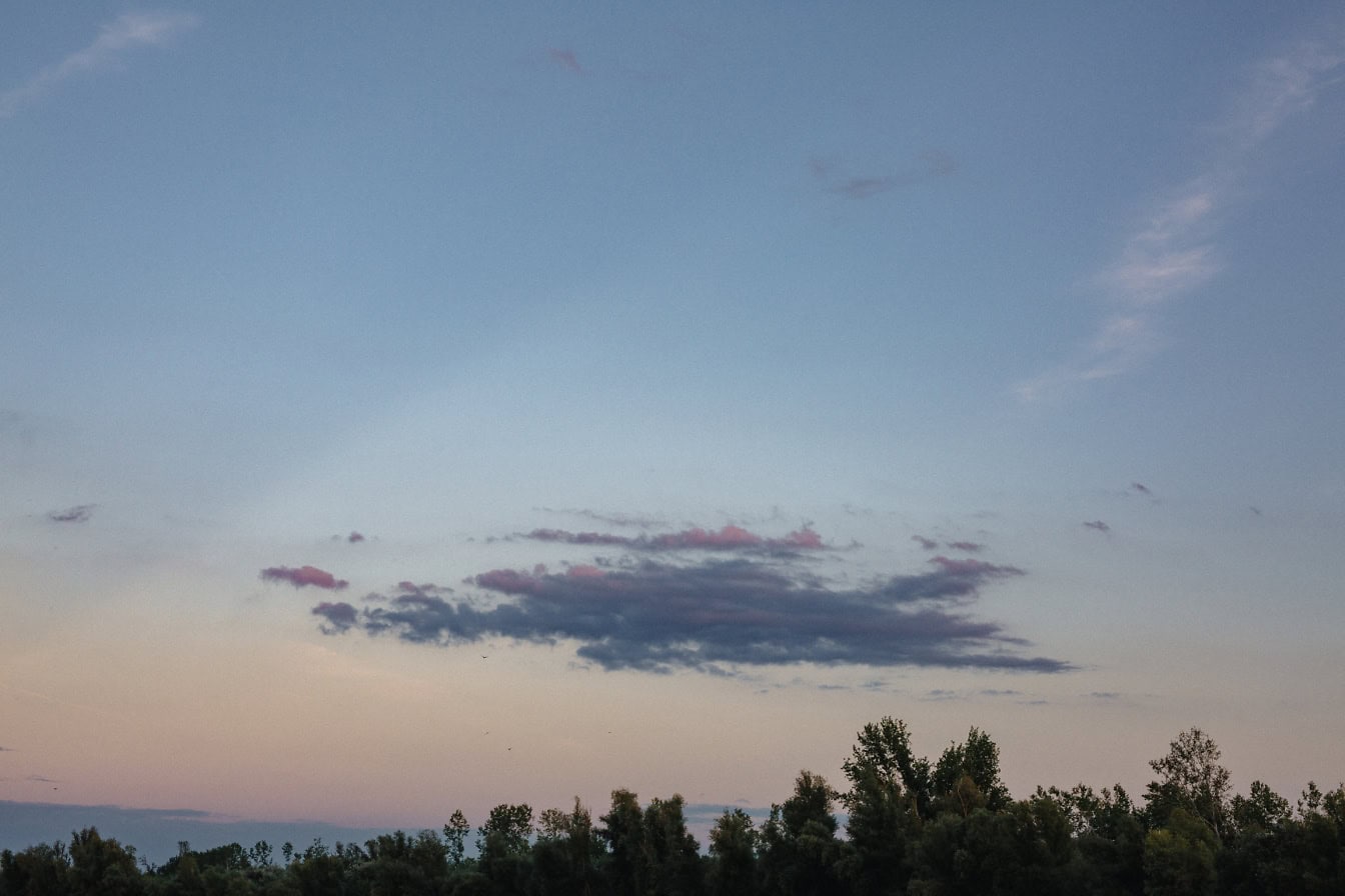 Pepohonan di kejauhan di bawah langit biru saat senja