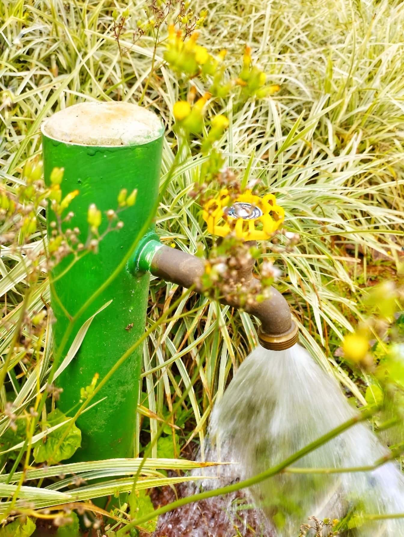 Robinet pe un stâlp verde pulverizând apă pe iarbă