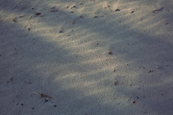 Nærbillede af halvvådt sand på beskidt jord i skygge