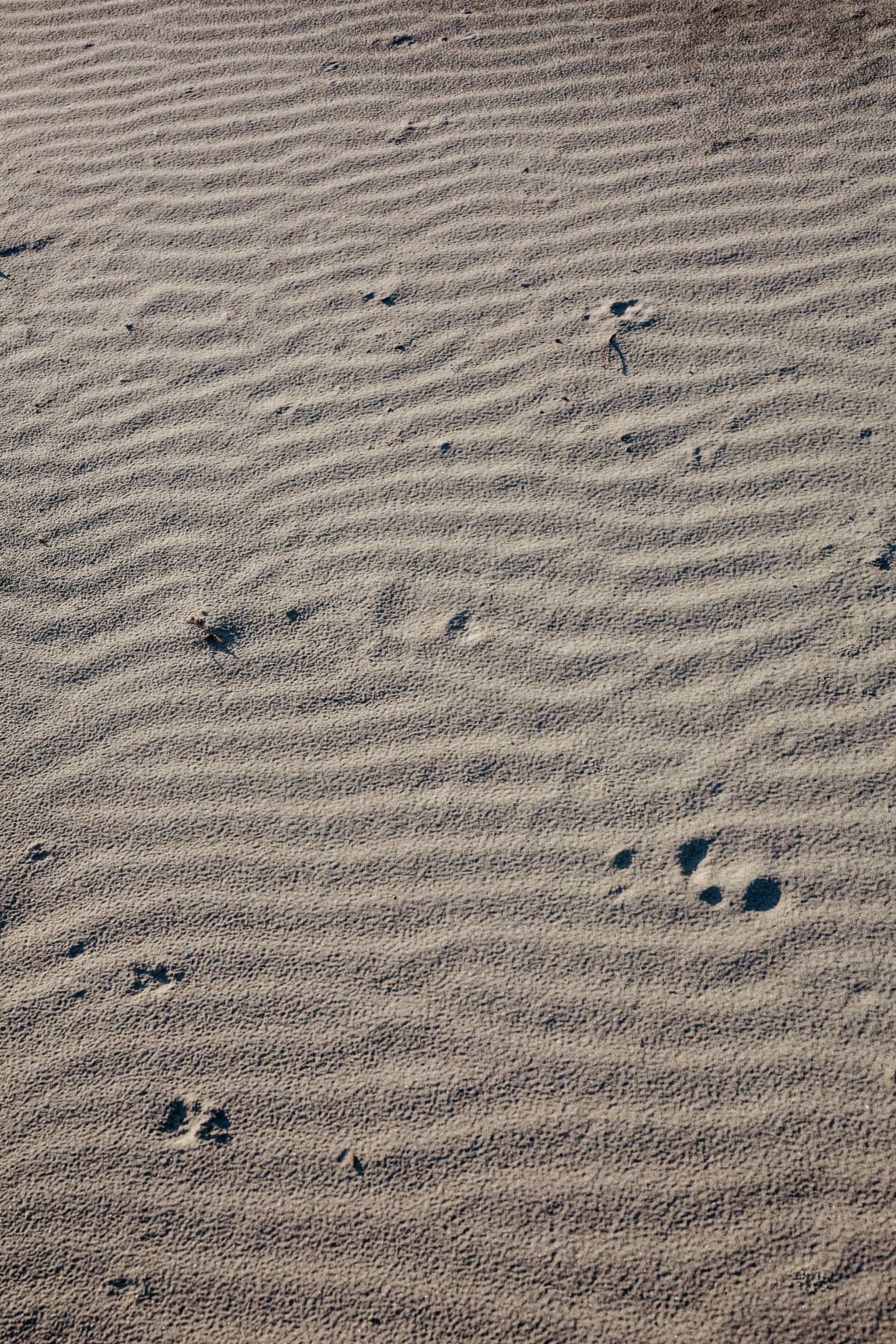 Sable sale sur le sol avec une texture de vagues et d’empreintes de pas