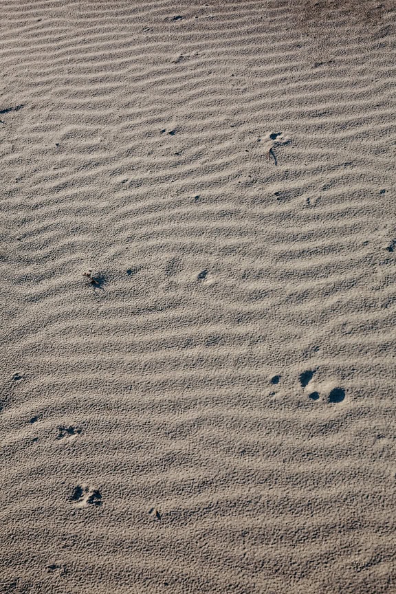 Beskidt sand på jorden med en tekstur af bølger og fodaftryk