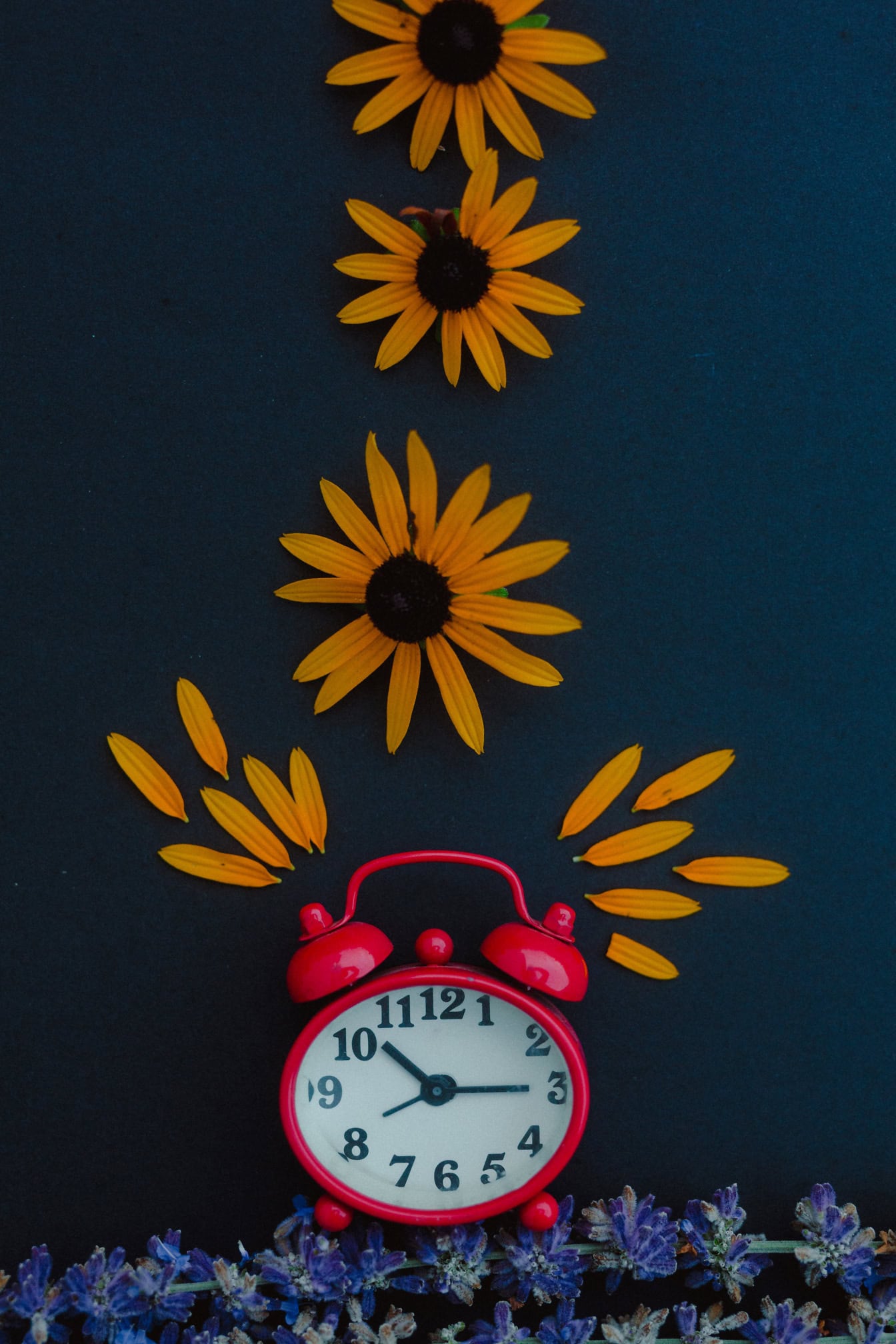 Old-fashioned dark red analog alarm clock and orange flowers on a dark background