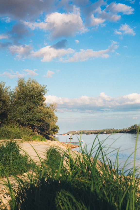 Ruohoinen jokiranta, jossa on puita ja pilviä sinisellä taivaalla