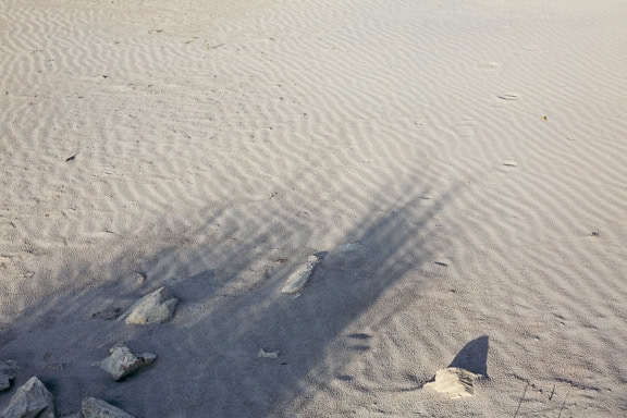 Lyst gråt sand med klipper og skygger på stranden