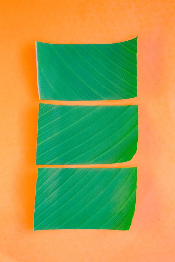 Une feuille verte coupée en forme de rectangle sur une surface orange