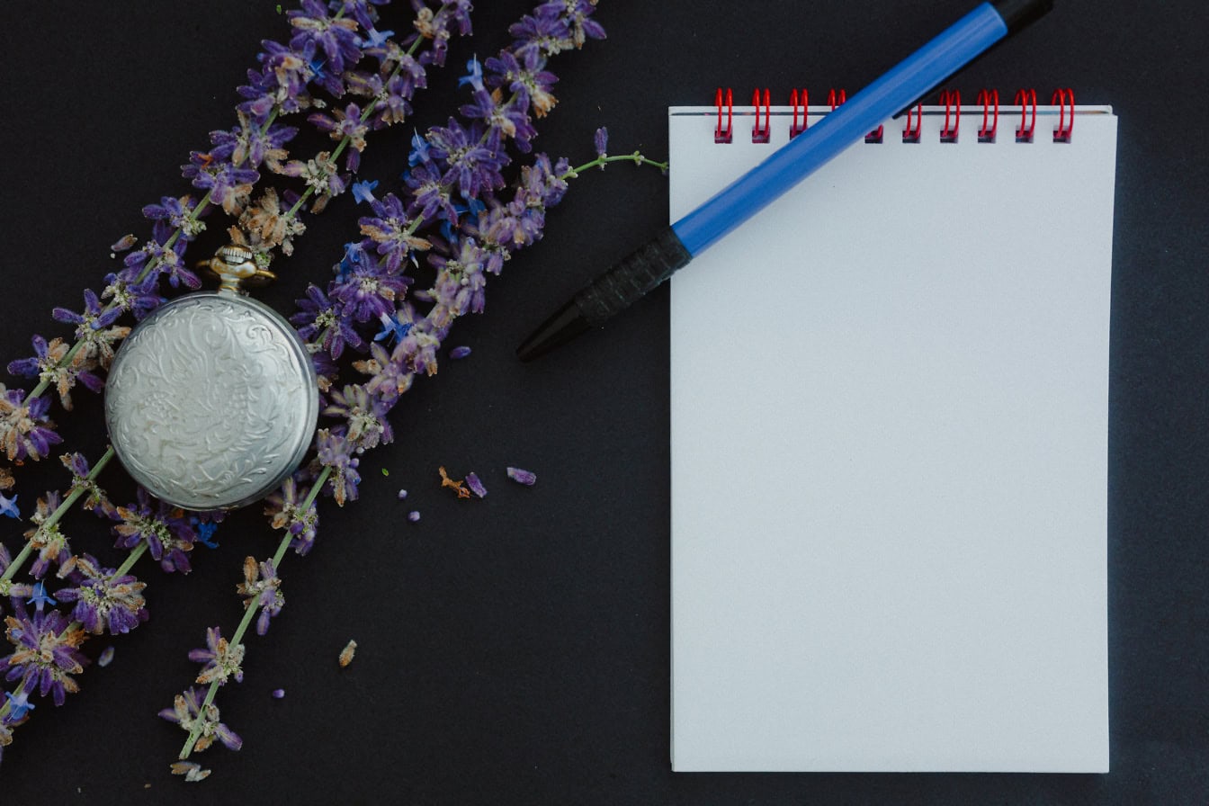 Leeres weißes Papier aus Notizbuch mit Stift und Lavendelblüten mit analoger Taschenuhr