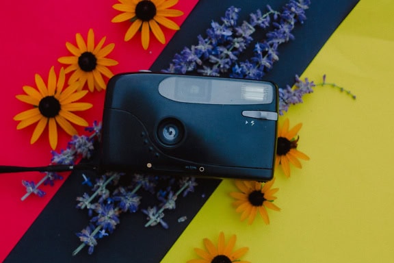 Appareil photo en plastique à l’ancienne sur une surface colorée avec des fleurs