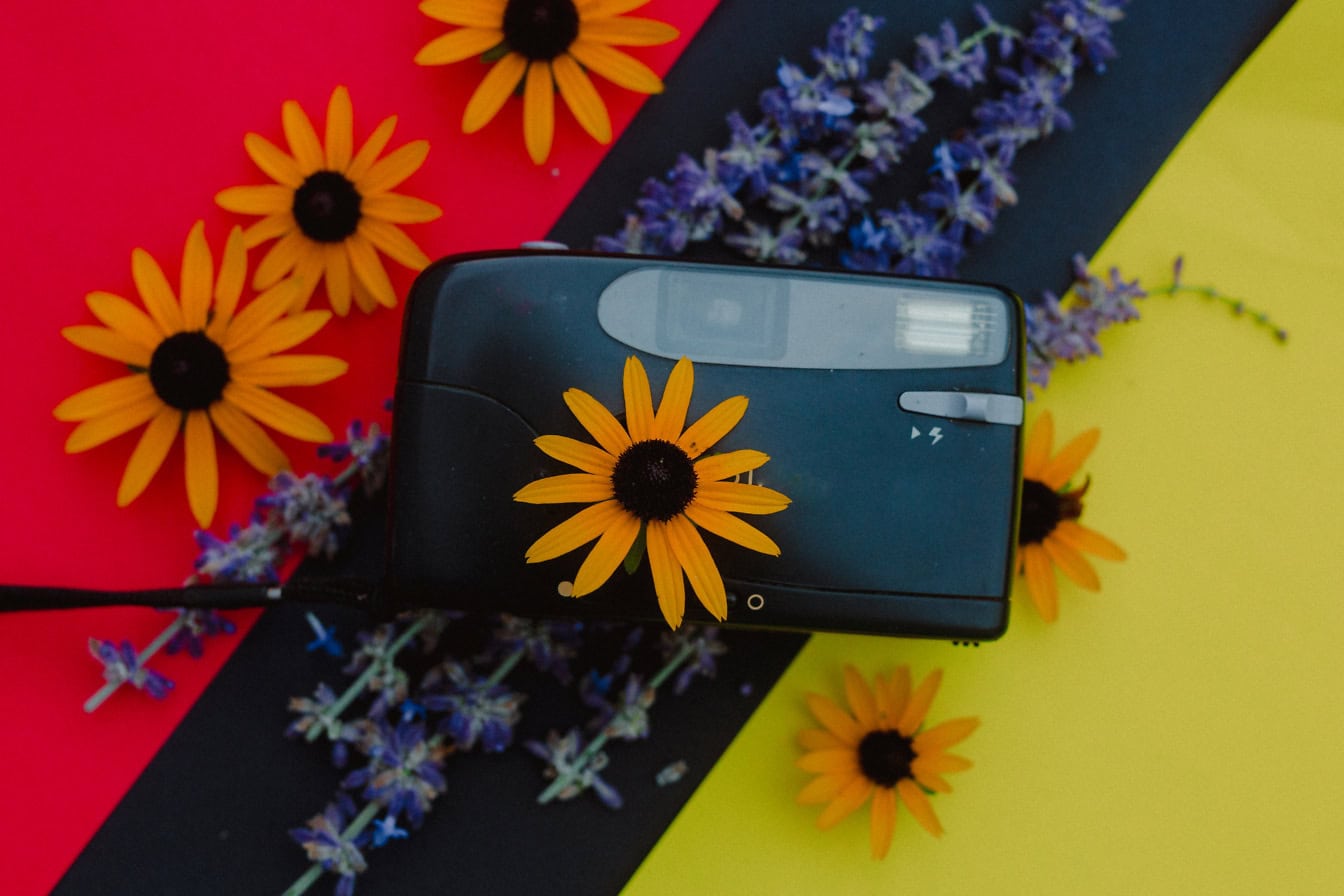 Gammal svart plast fotokamera med orange blommor på den