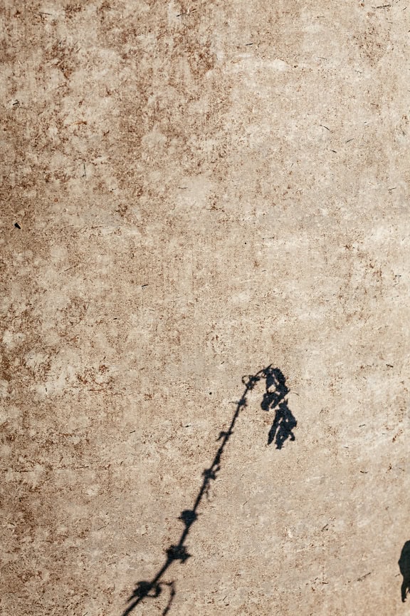 Shadow of a plant on a dirty light brown concrete surface