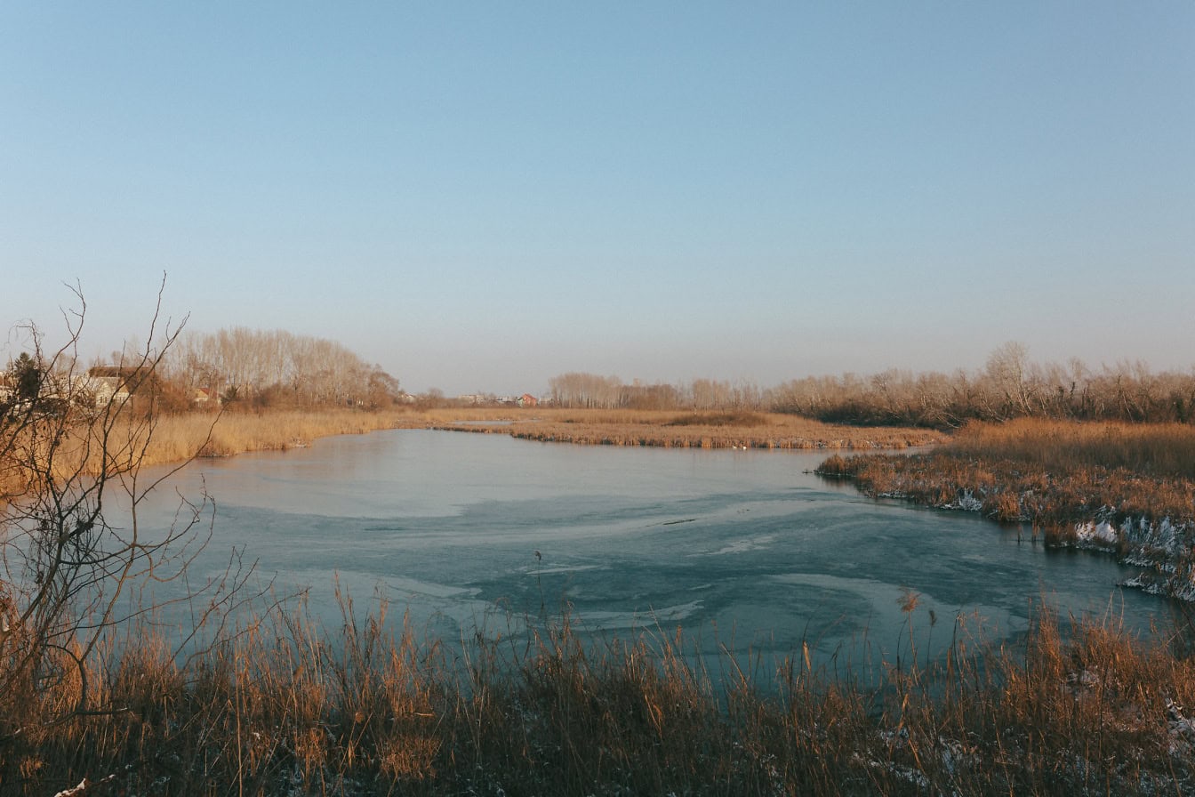 Lanskap danau beku bernama Cvrcina bara, cagar alam di Backa Palanka, Serbia