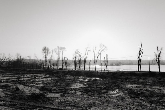 Zwart-witfoto van een modderig gebied met gebroken en gekapte bomen, illustratie van het kappen van het bos