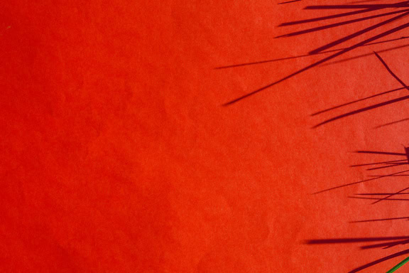 Textura de um papel vermelho escuro com sombras no lado direito